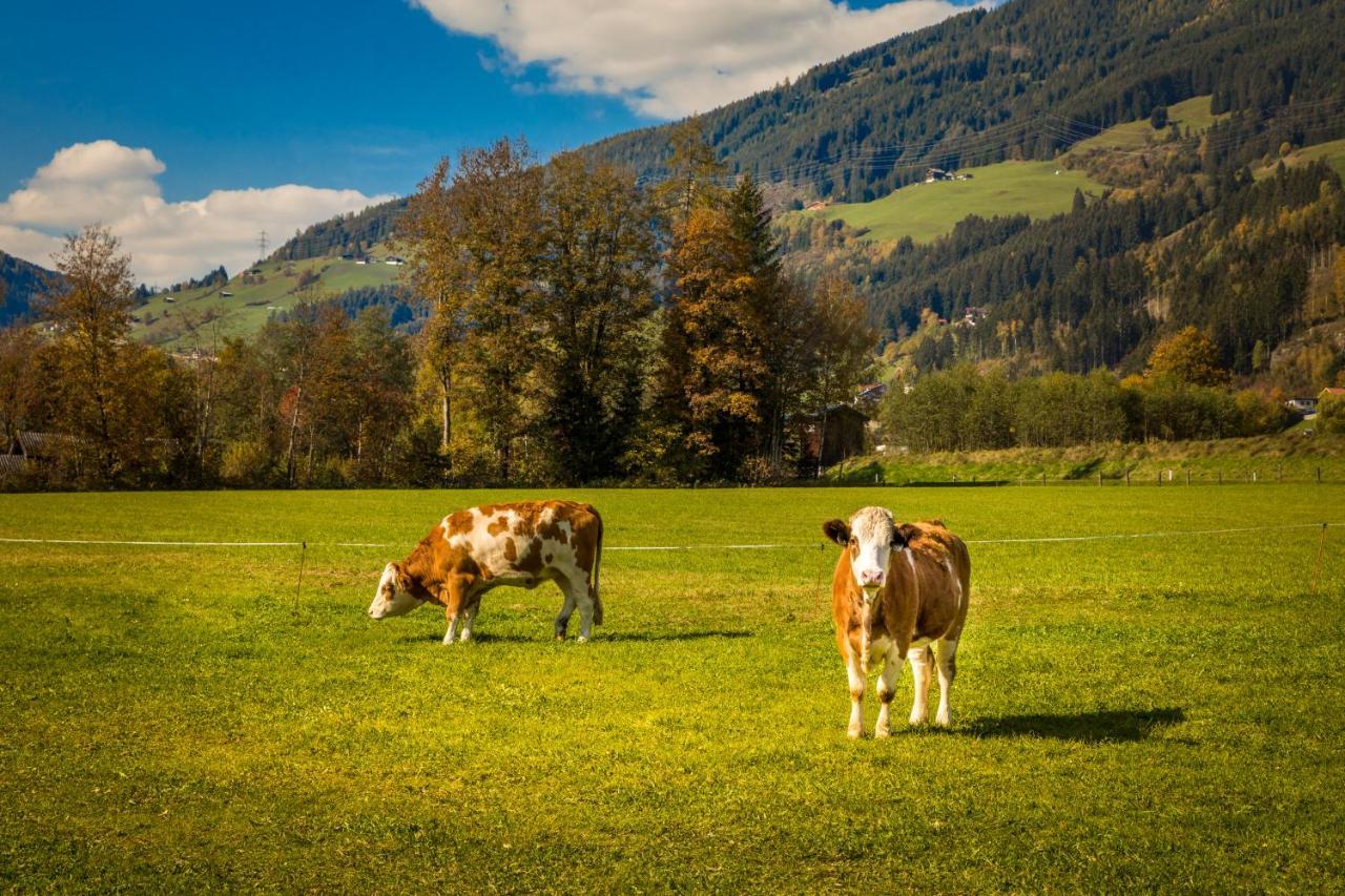 Bio-Bauernhof Obertrattenbachhof Neukirchen am Großvenediger Extérieur photo