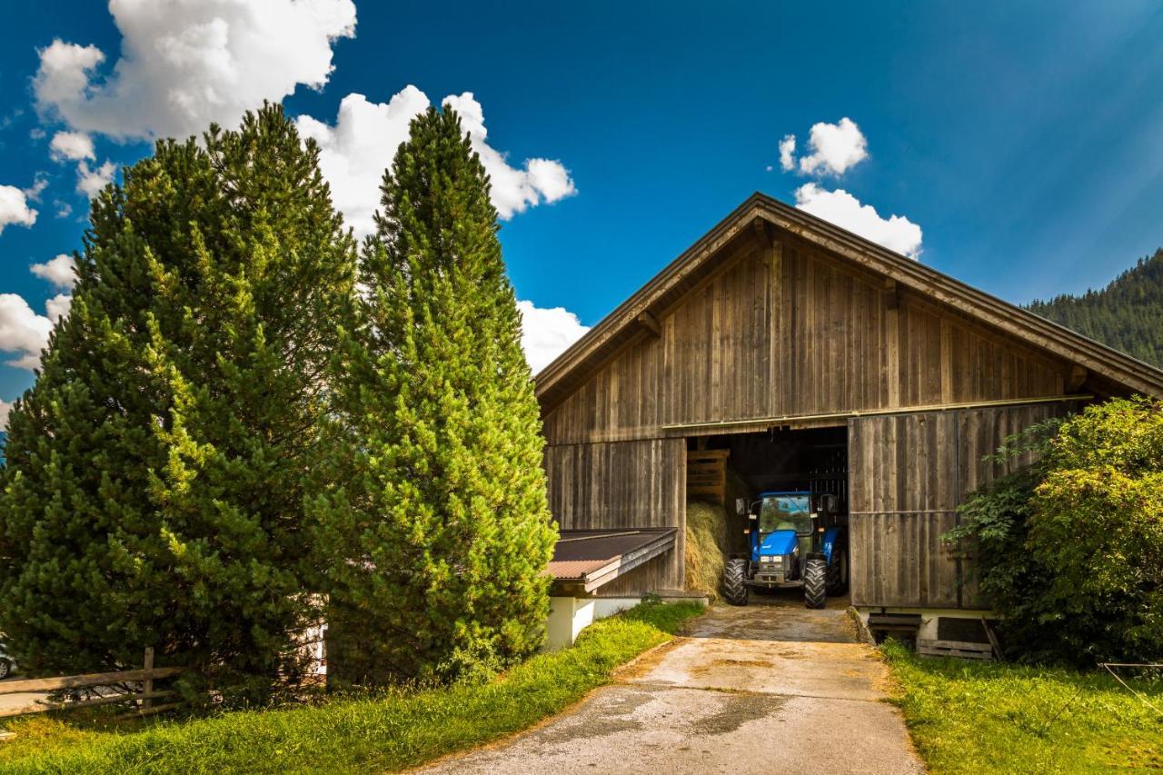 Bio-Bauernhof Obertrattenbachhof Neukirchen am Großvenediger Extérieur photo